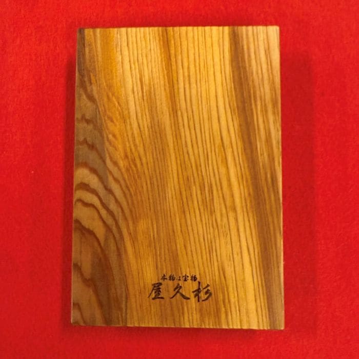 ���׿�����Ģ