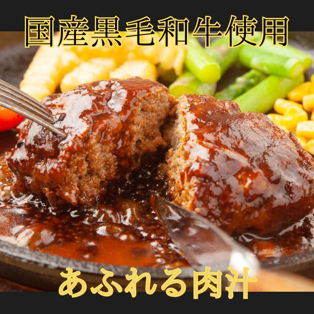 ハンバーグ１０個セット