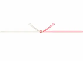 熨斗印刷のない紅白結び切りのイメージ画像