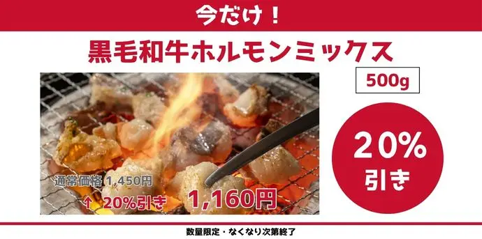 ホルモンミックス20%FF