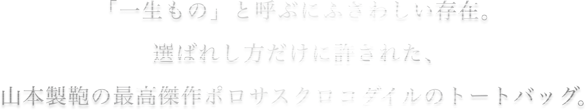 唯一無二のトートバッグ