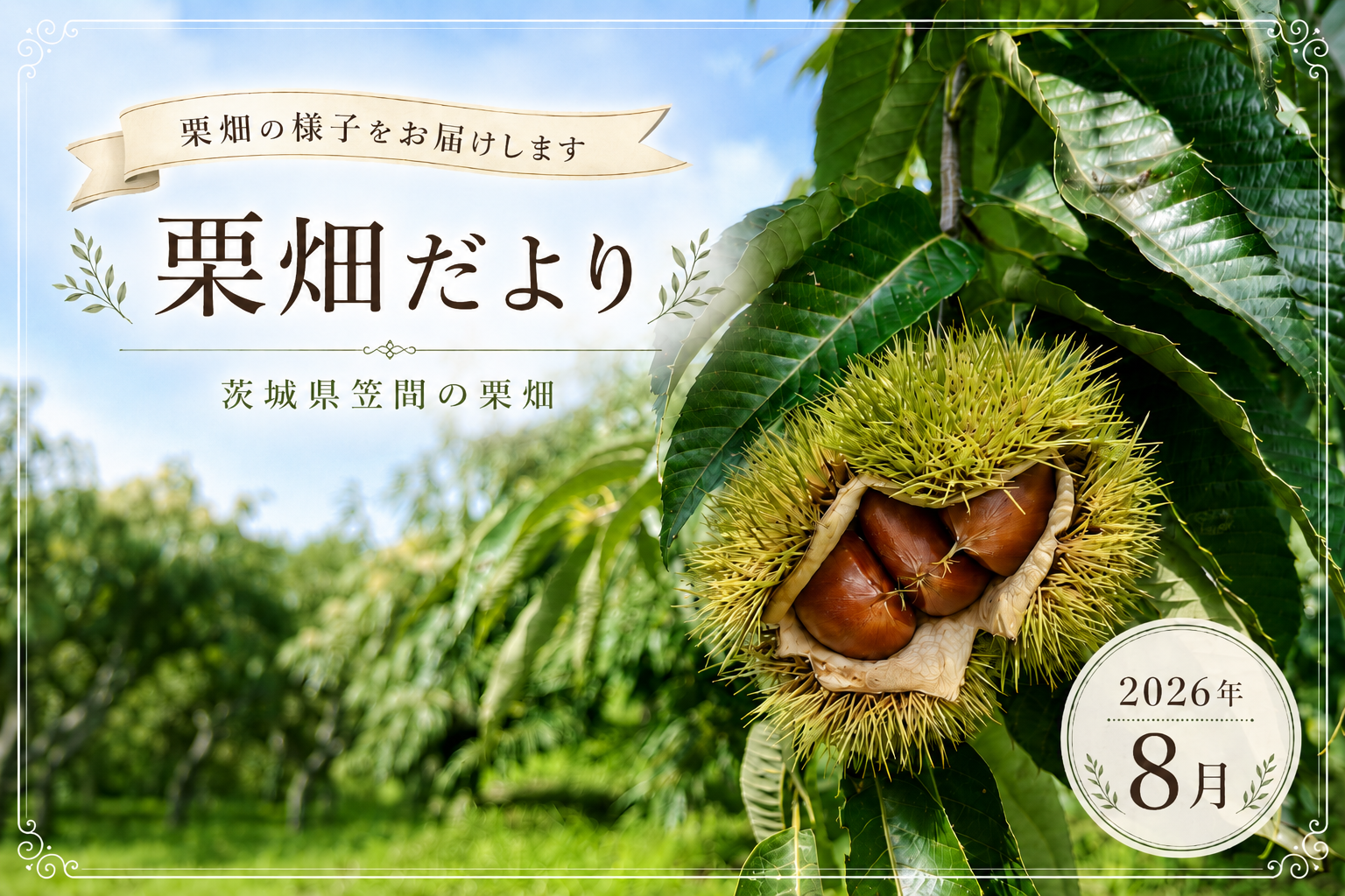 栗畑