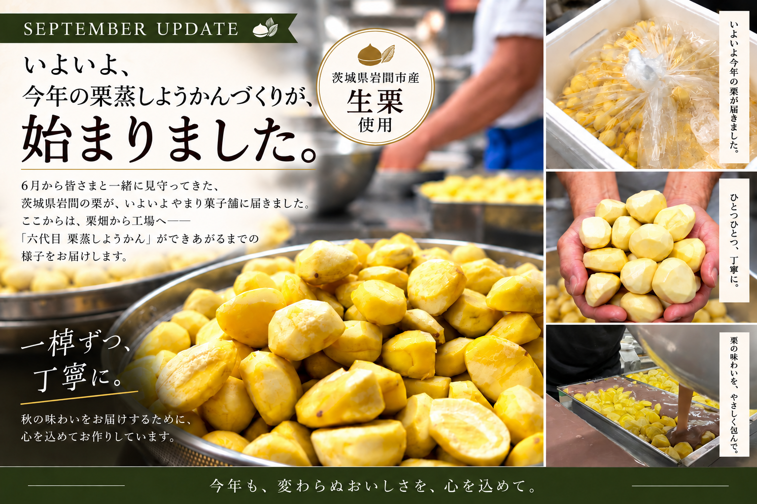 SEPTEMBER UPDATE いよいよ今年の栗蒸しようかんづくりが始まりました