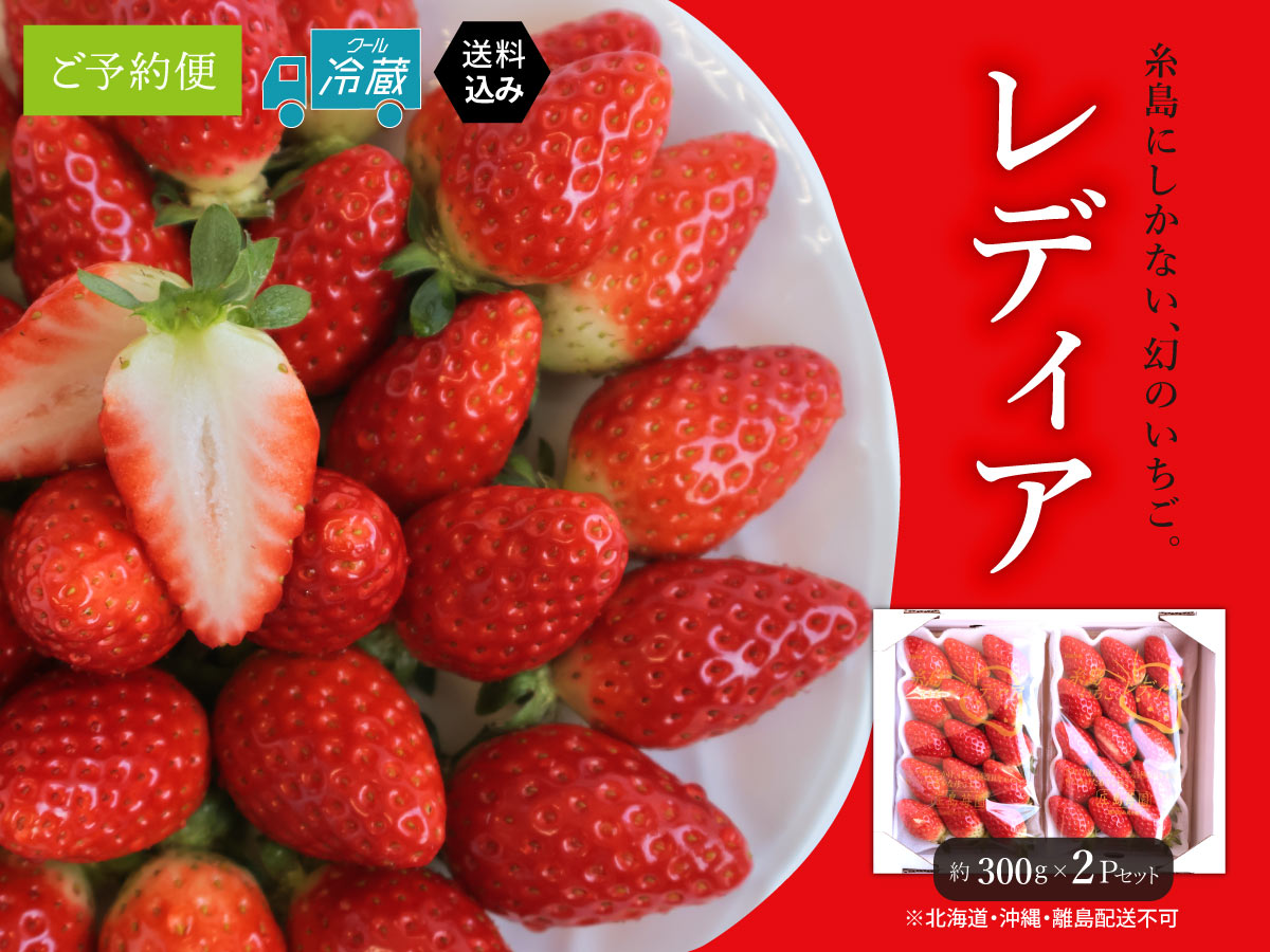レディアという苺についてのまとめ