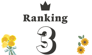 Ranking 3