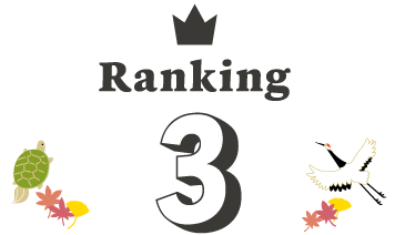 Ranking 3