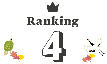 Ranking 4