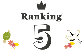 Ranking 5