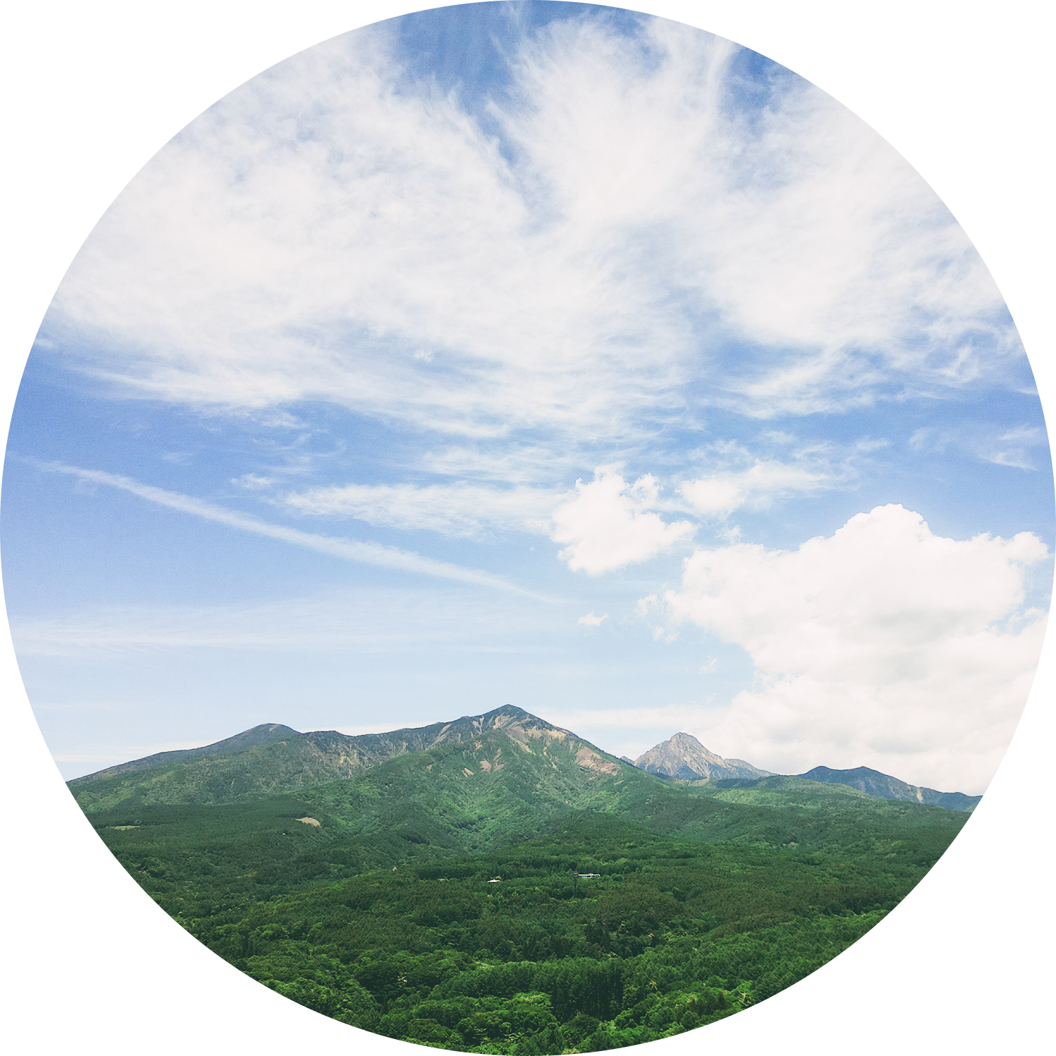八ヶ岳の自然