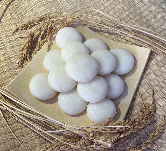 完売御礼》【八ヶ岳ピースファーム】まるもち600g（無農薬・無肥料・天