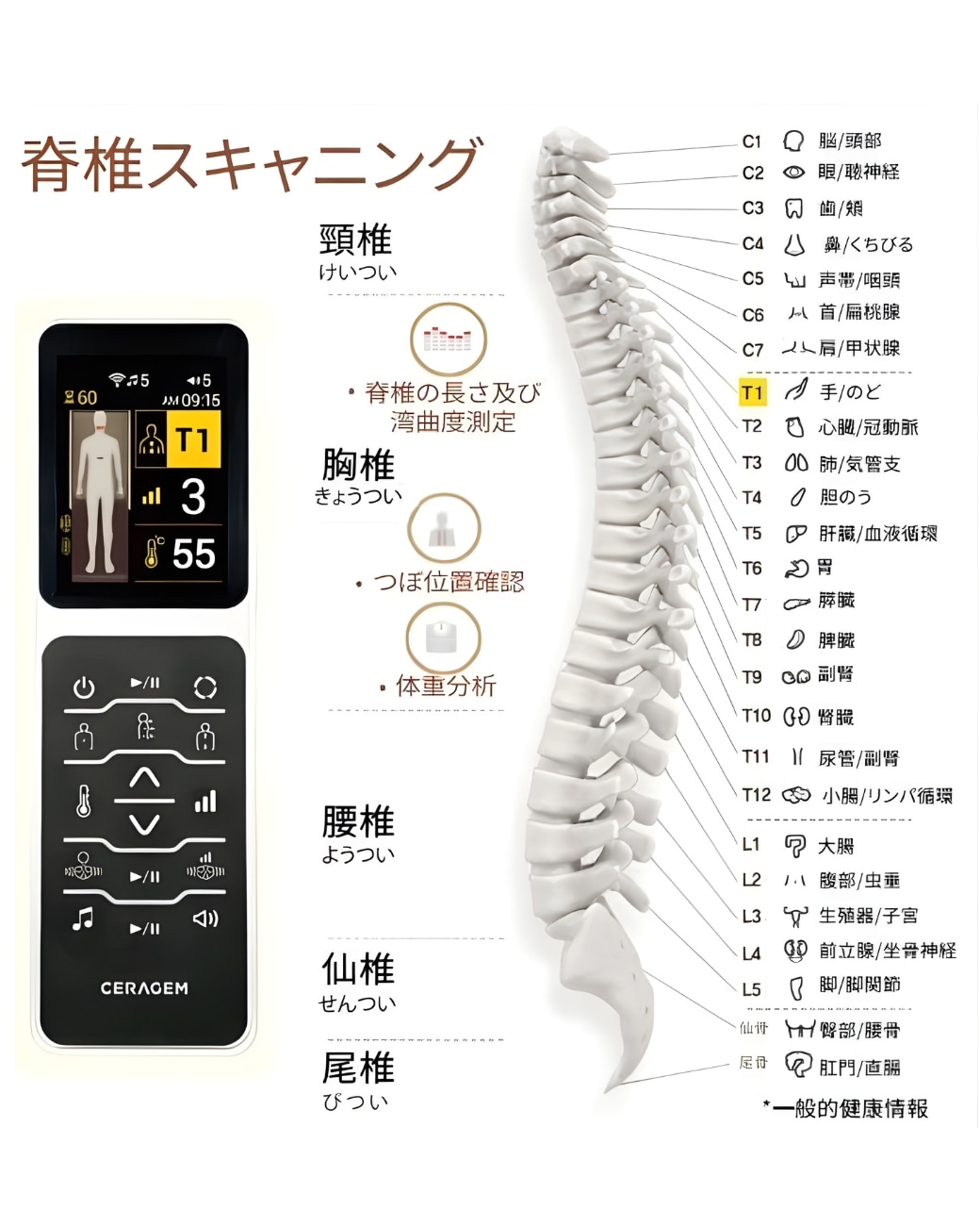 脊髄温熱自動整体機 セラゼムマスターV4