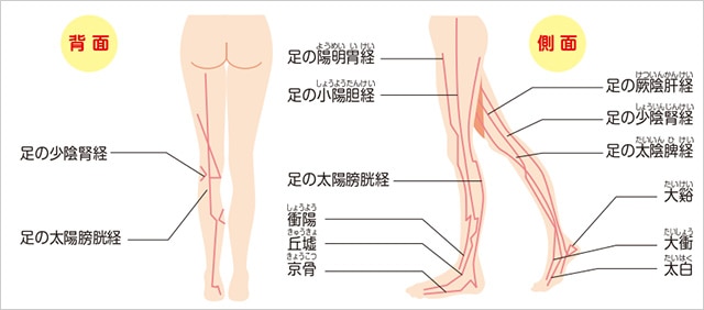 高HADO（波動）ナノカバー Sym・Earth Cover（シン・アース カバー）