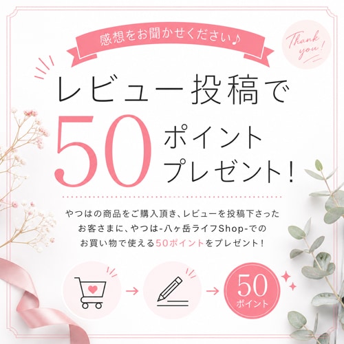 レビュー掲載で50ポイントプレゼント