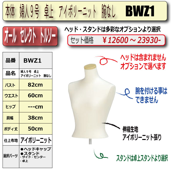 no.66-bwz1-top-2023 TOP