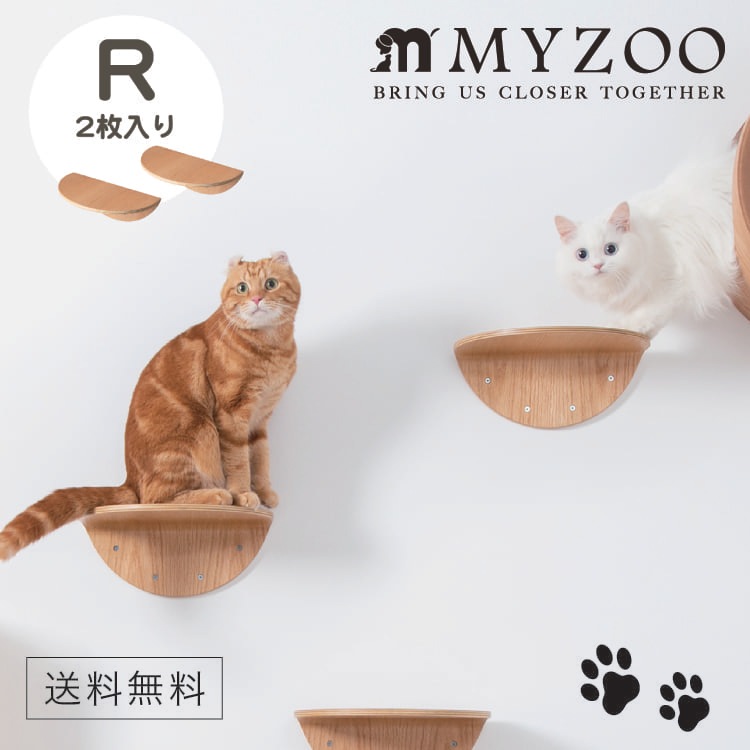 MYZOO マイズー ROUND LACK ラウンドラック 【2個入り】 キャット