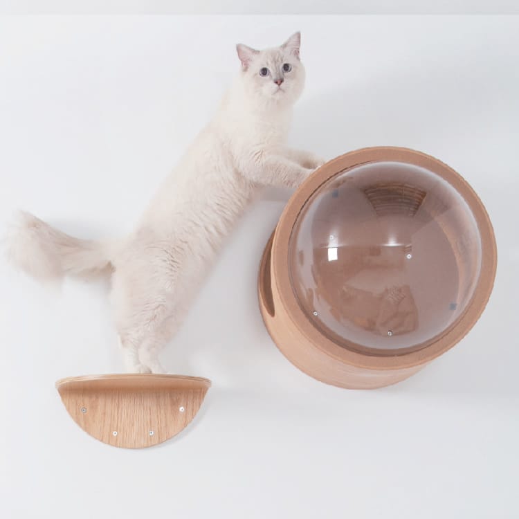 MYZOO マイズー ROUND LACK ラウンドラック 【2個入り】 キャット