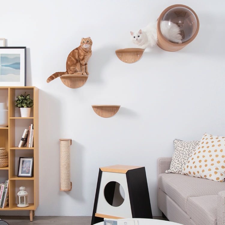 週末セール　ネコソギ ウッド デットスロー MYZOO マイズー ROUND LACK ラウンドラック 【2個入り】 キャット