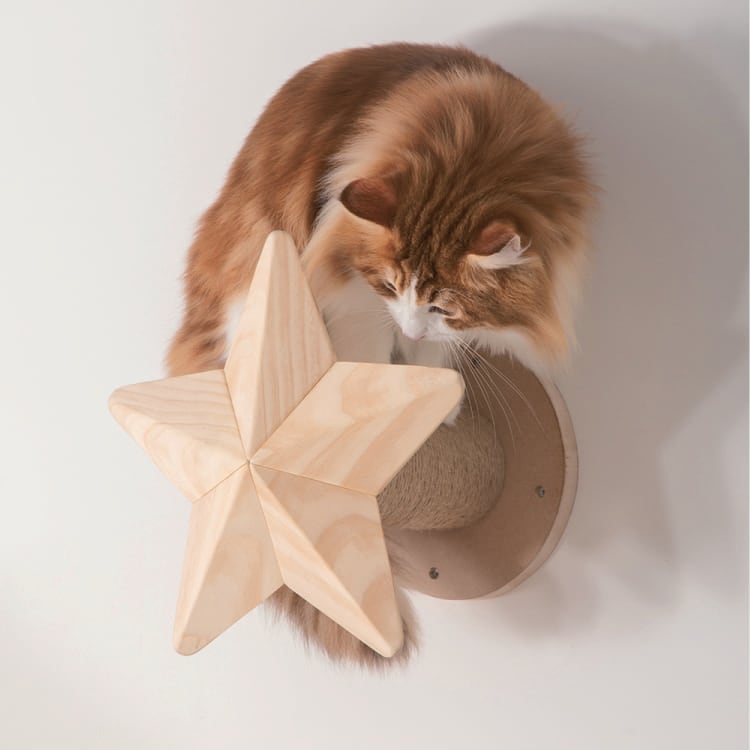 No17 pino様オーダー品　キャットステップ　パイン材　ハンドメイド MYZOO マイズー STAR スター 【1個】 キャットウォーク キャット