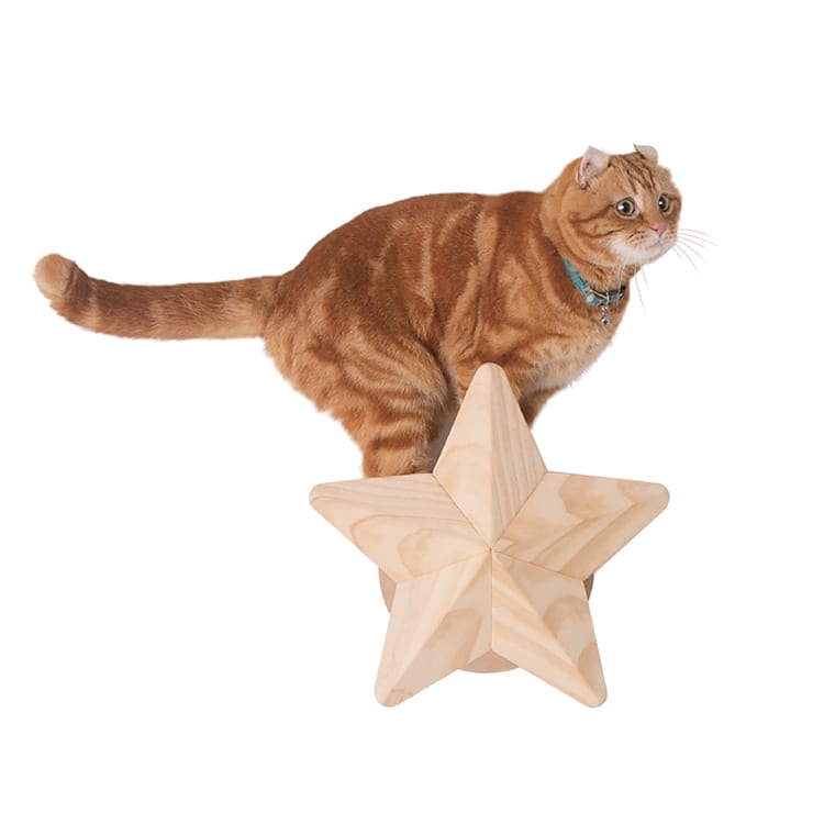 MYZOO マイズー STAR スター 【1個】 キャットウォーク キャット