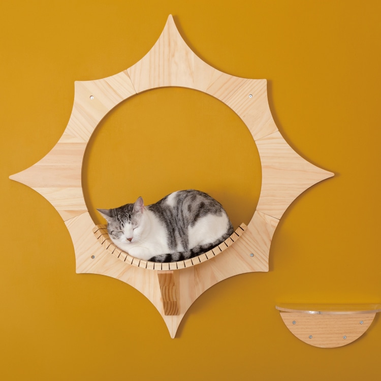 MYZOO マイズー SOLAR ソーラー 【1個】 キャットウォーク キャット