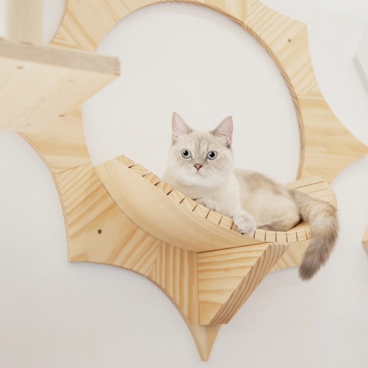 MYZOO マイズー SOLAR ソーラー 【1個】 キャットウォーク キャット