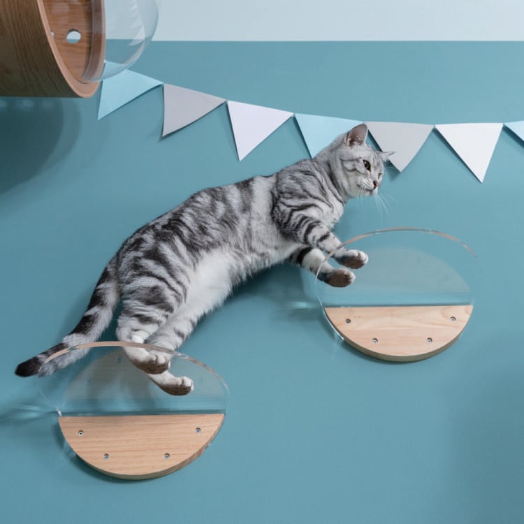 MYZOO マイズー ROUND LACK CLEAR ラウンドラック クリア 【1個