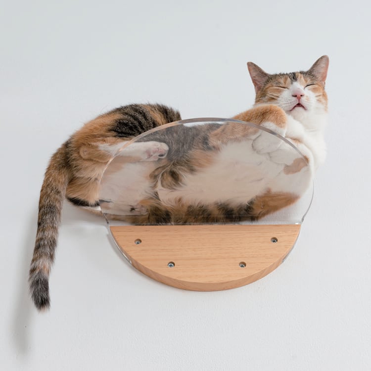 MYZOO ROUND LACK ラウンドラック　キャットステップ　4枚セット 楽天市場】キャットステップ MYZOO マイズー Round Lack ラウンド