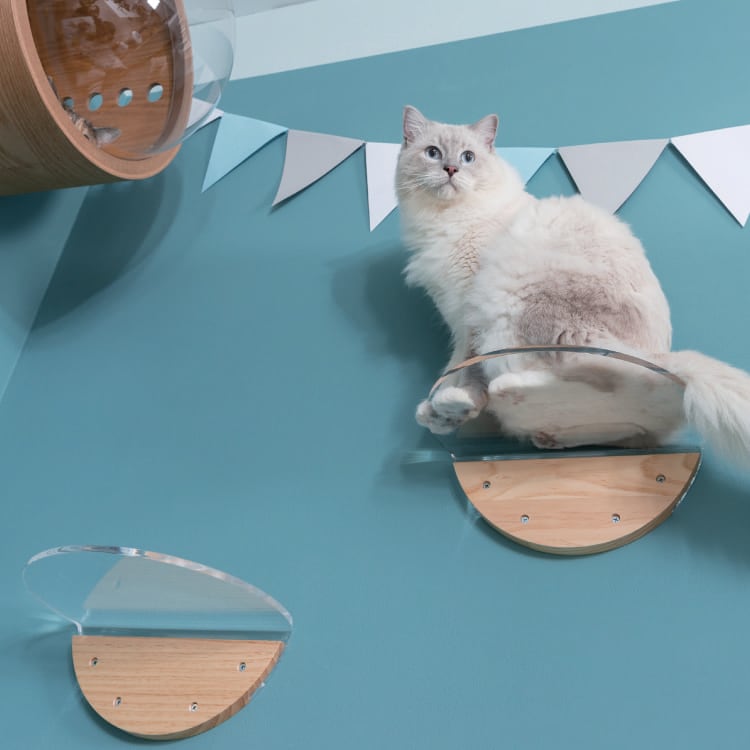 MYZOO マイズー ROUND LACK CLEAR ラウンドラック クリア 【1個