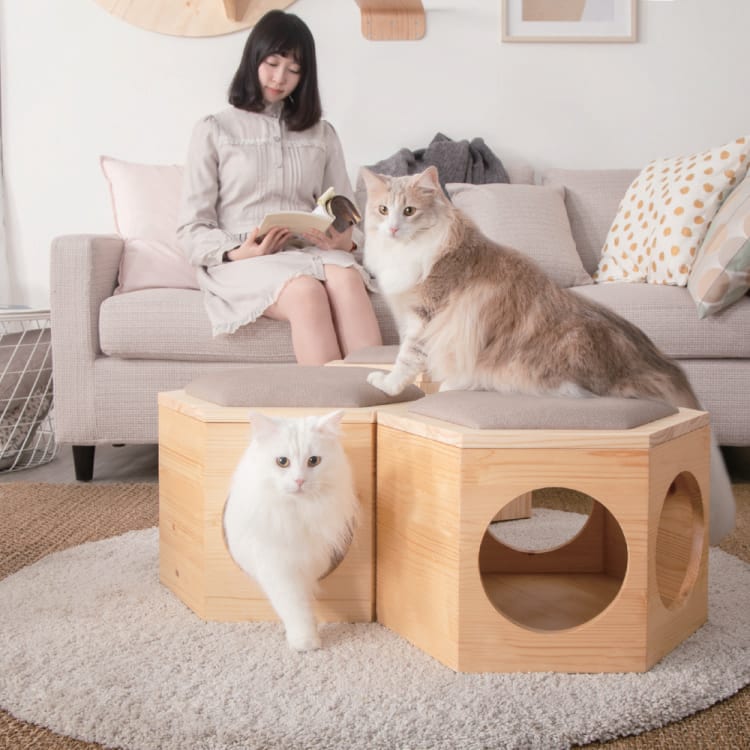 MYZOO 木製キャットタワーパーツ 6個セット 低 価格ペット用品 - MYZOO 木製キャットタワーパーツ 6個セット