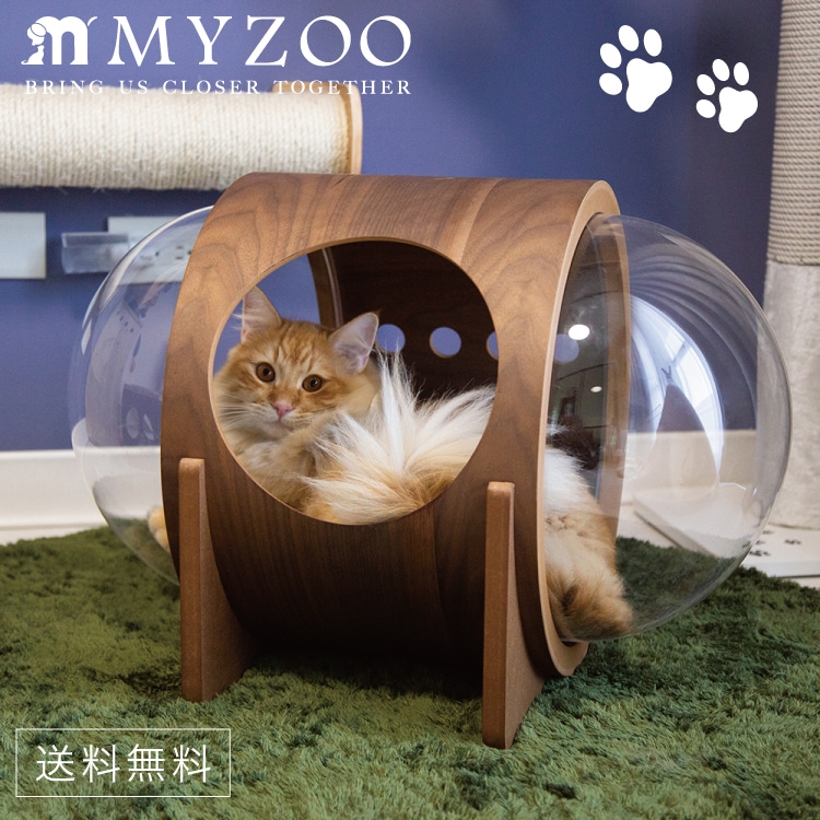 取り寄せ MYZOO マイズー 宇宙船 ALPHA アルファ ウォールナット 【1個