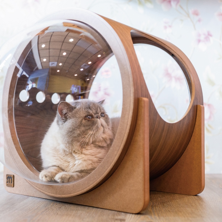 キャットベッド Myzoo alpha 宇宙船 ベッド Alpha Walnut