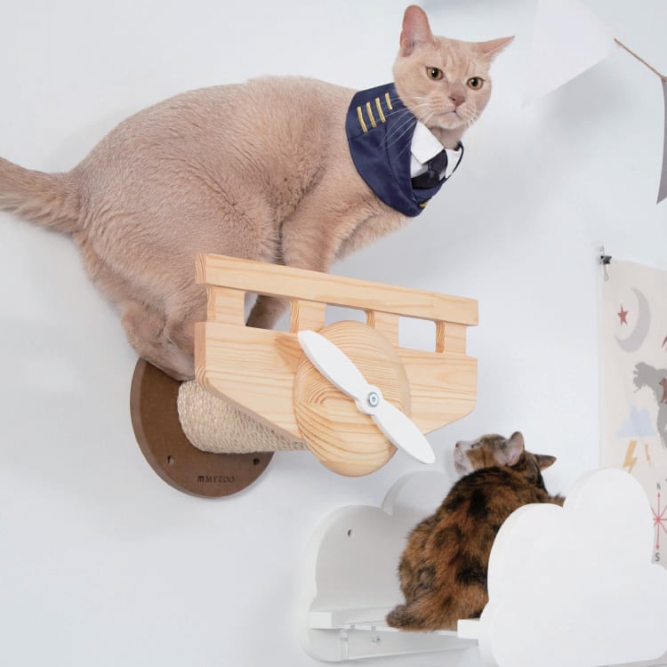 MYZOO マイズー PLANE プレーン 【1個】 キャットウォーク キャット