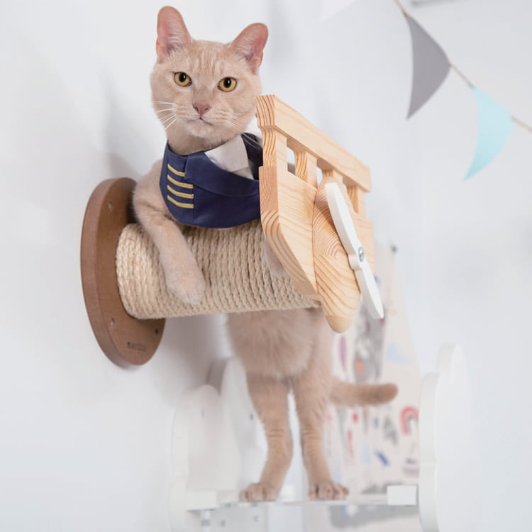 MYZOO マイズー PLANE プレーン 【1個】 キャットウォーク キャット