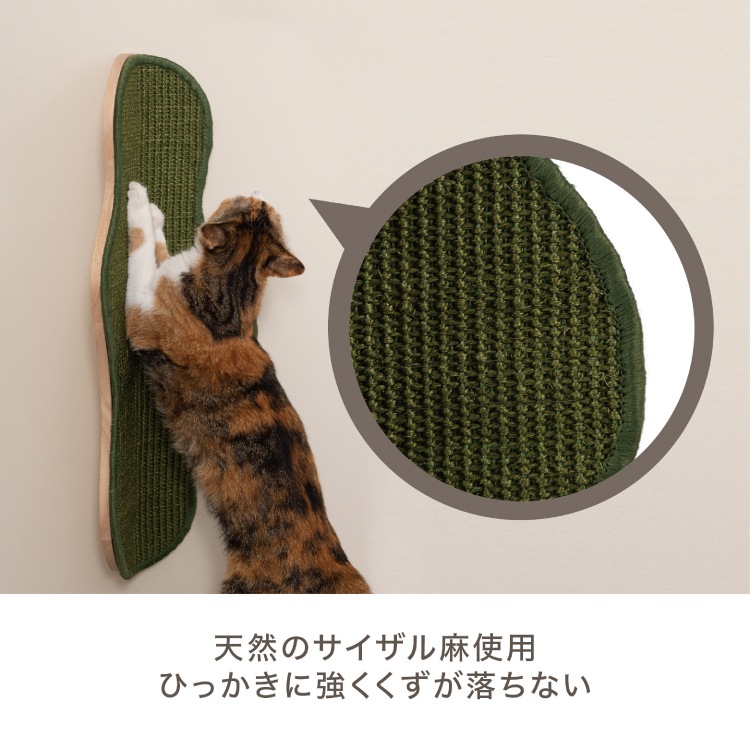 取り寄せ MYZOO マイズー SEAWEED シーウィード 【1個】 爪とぎ #猫