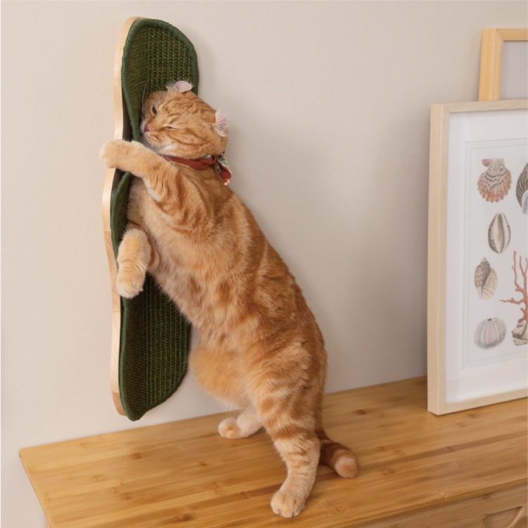 取り寄せ MYZOO マイズー SEAWEED シーウィード 【1個】 爪とぎ #猫