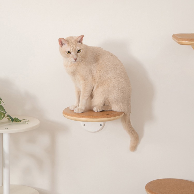 取り寄せ MYZOO マイズー CORK‐R コルク 【1個】 キャットウォーク