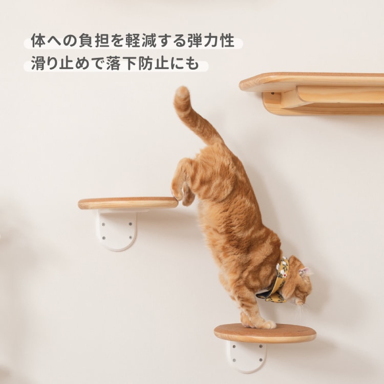 取り寄せ MYZOO マイズー CORK‐R コルク 【1個】 キャットウォーク