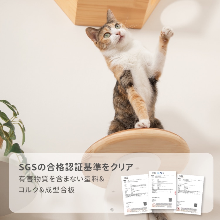 取り寄せ MYZOO マイズー CORK‐R コルク 【1個】 キャットウォーク