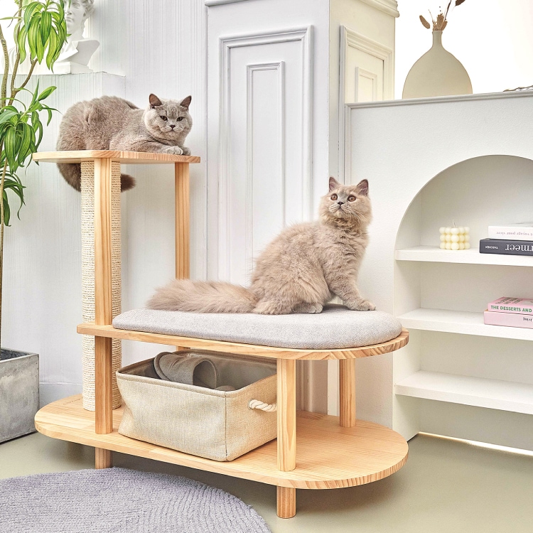 おしゃれキャット　オペラ　トワレ　ユニベアシティ おしゃれキャットマリー ユニベア おしゃれキャット オペラ トワレ