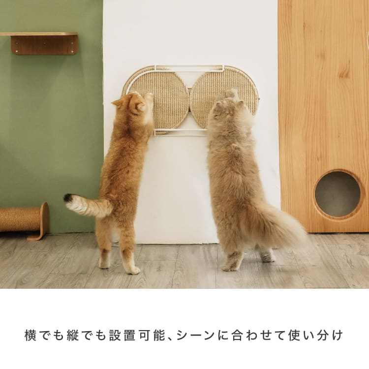 取り寄せ MYZOO マイズー LOCUS 円形爪研ぎボード ローカス 【1個】 爪