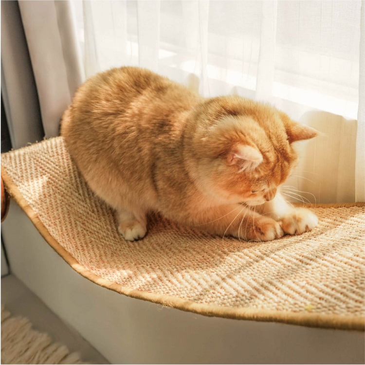 取り寄せ MYZOO マイズー HOVER キャットハンモック ホバー 【1個
