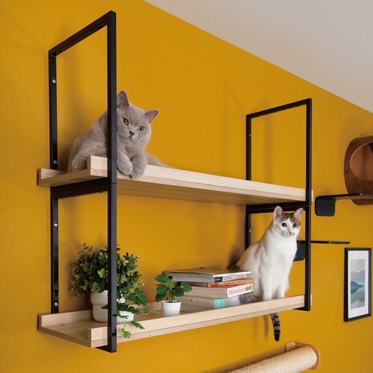 取り寄せ MYZOO マイズー AVENUE アベニュー カラー 全4種 サイズ 60cm