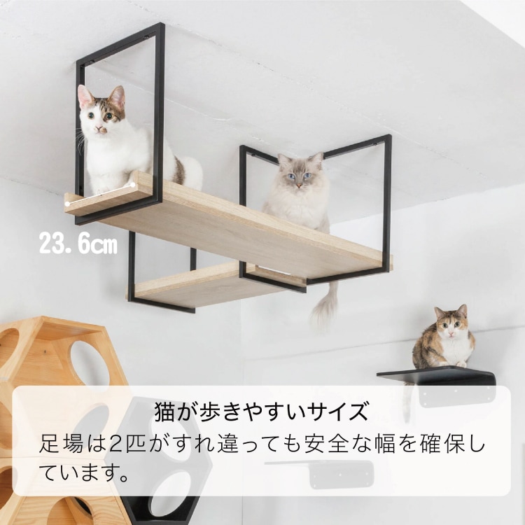 取り寄せ MYZOO マイズー AVENUE アベニュー カラー 全4種 サイズ 60cm