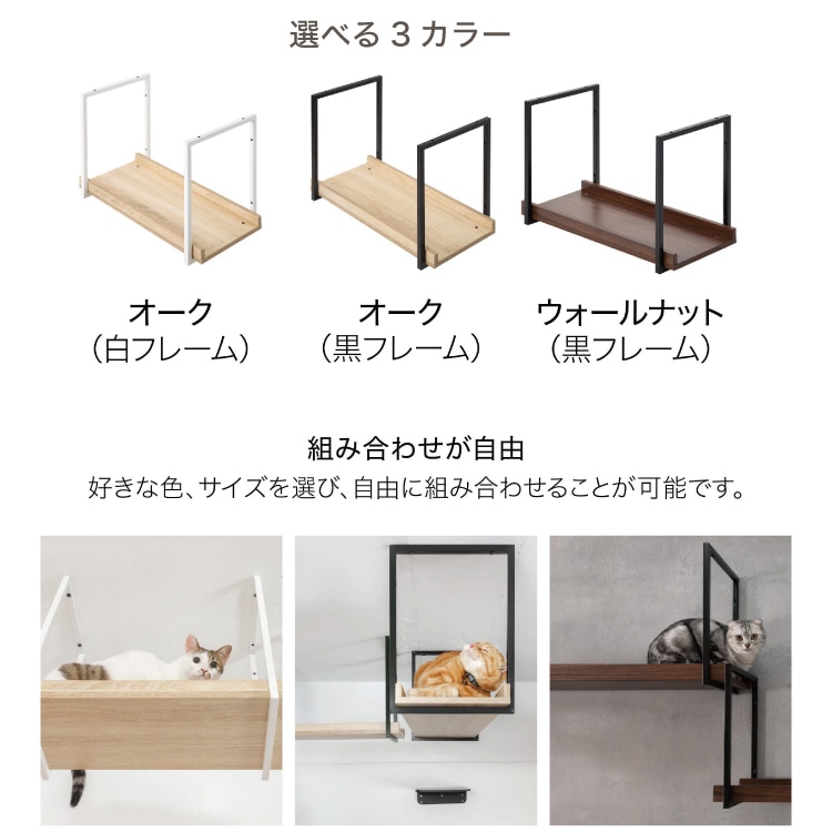 取り寄せ MYZOO マイズー AVENUE アベニュー カラー 全4種 サイズ 60cm