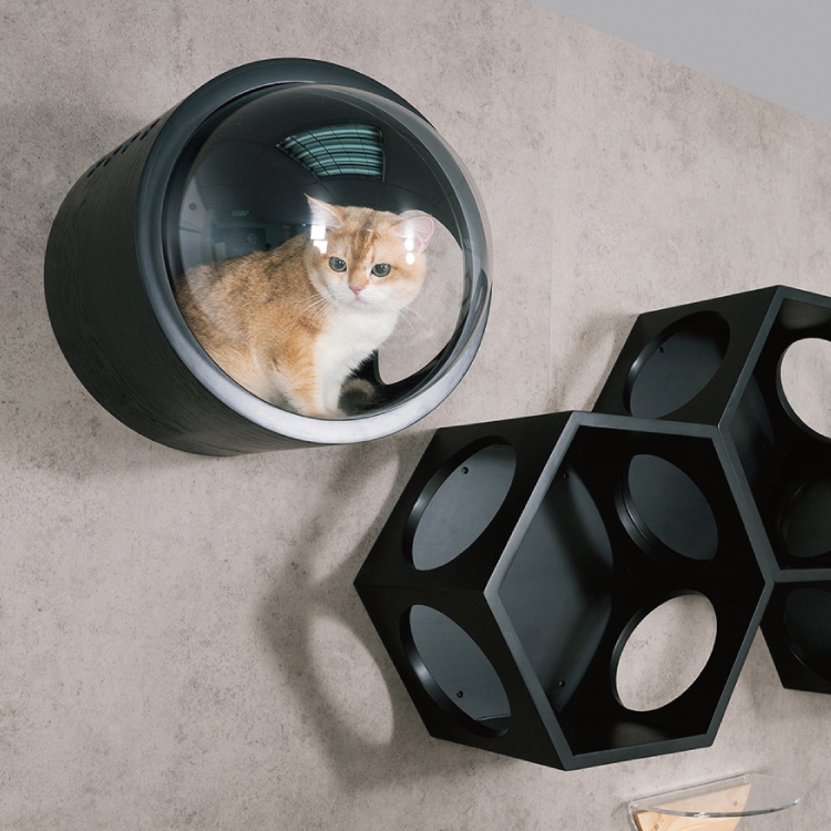 MYZOO マイズー 宇宙船 GAMMA ガンマ カラー 全4種 開き口 右開き/左