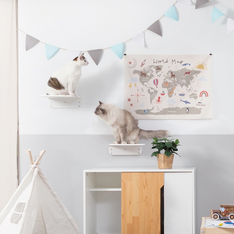 MYZOO マイズー LACK ラック カラー・サイズ 全4種 【2個入り