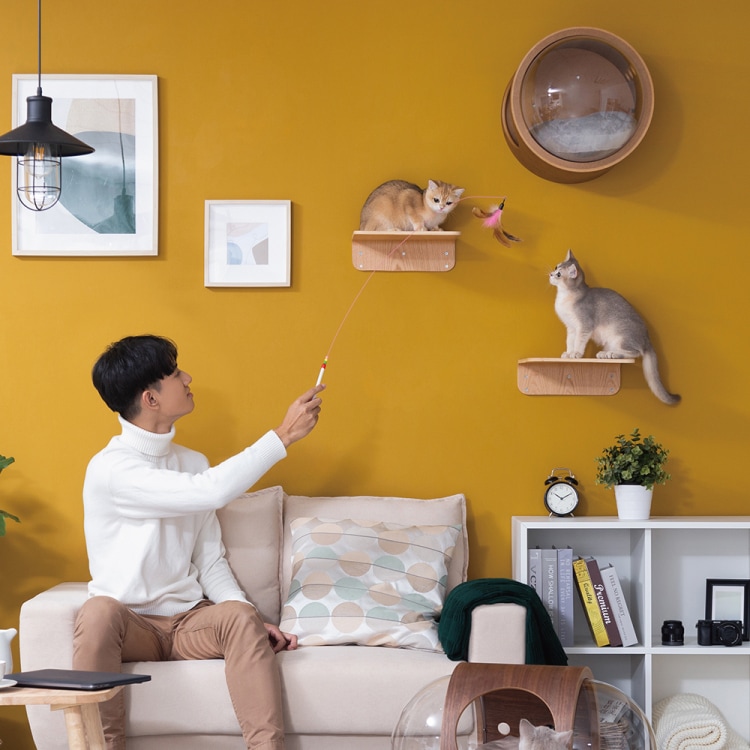 MYZOO マイズー LACK ラック カラー・サイズ 全4種 【2個入り