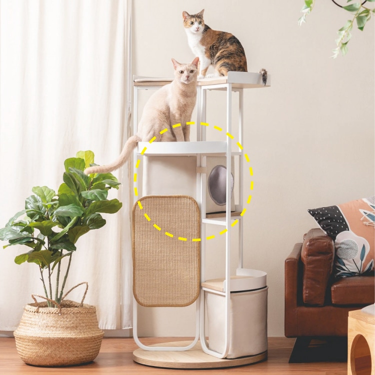 取り寄せ MYZOO マイズー LOOP TOWER 猫ベッド ループ タワー カラー