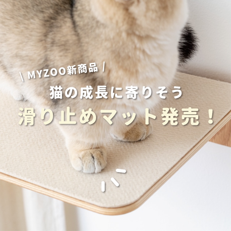 取り寄せ MYZOO マイズー 滑り止めマット LACK/ROUND LACK CLEAR/ZONE