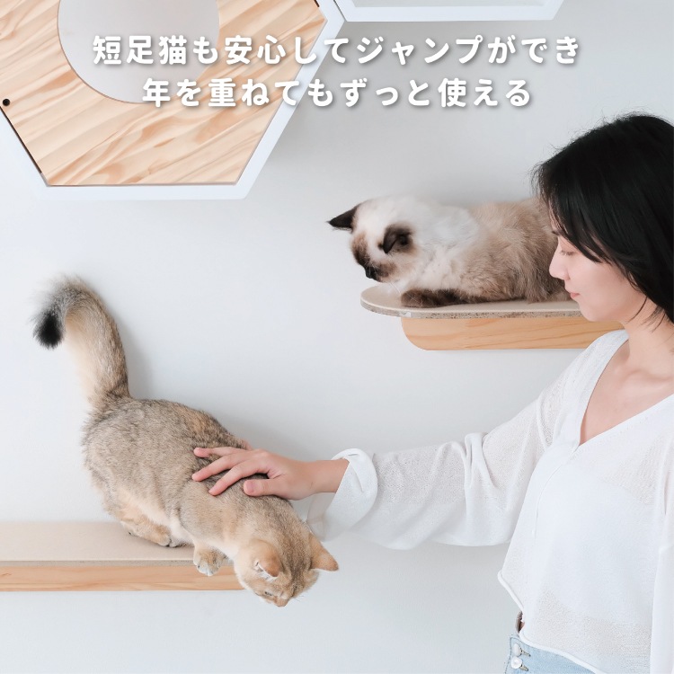 取り寄せ MYZOO マイズー 滑り止めマット LACK/ROUND LACK CLEAR/ZONE